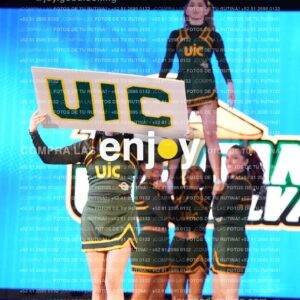 Uic0387