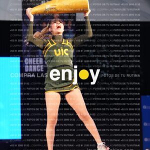 Uic0388