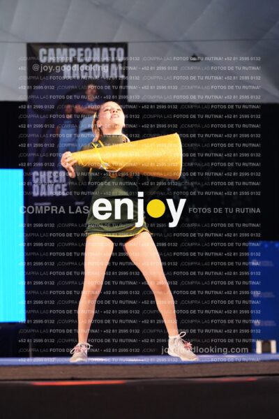 Uic0390
