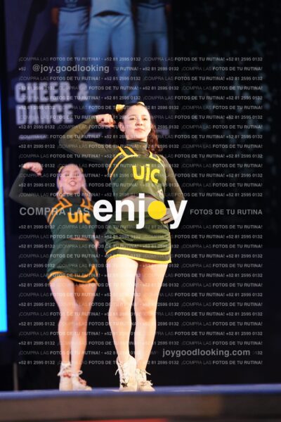 Uic0391