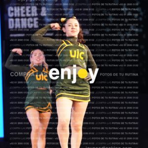 Uic0391
