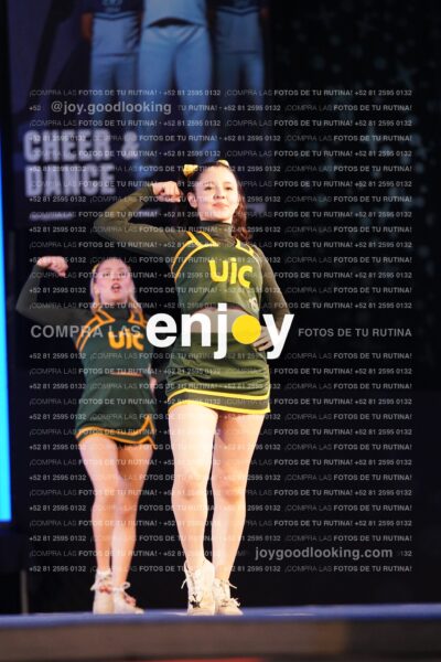 Uic0392