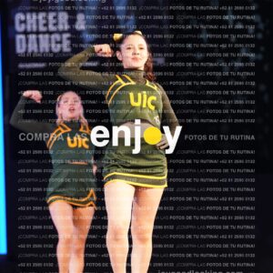 Uic0393