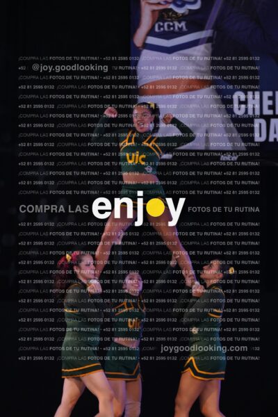 Uic0396
