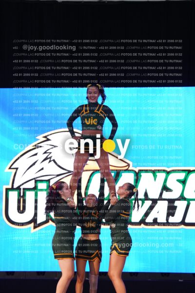 Uic0398