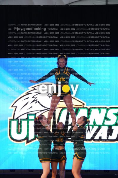 Uic0399