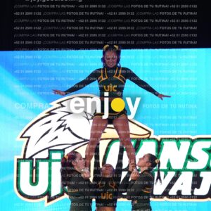 Uic0399