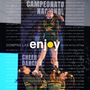 Uic0412