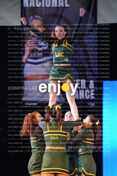 Uic0415