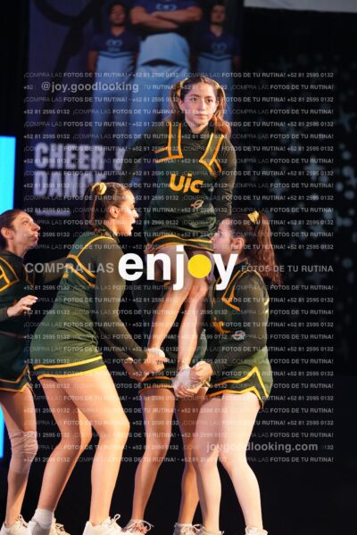 Uic0419