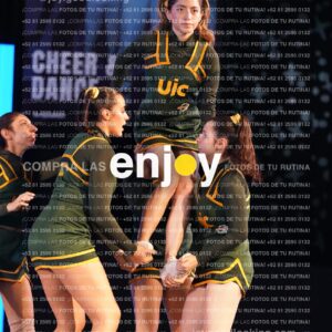 Uic0419