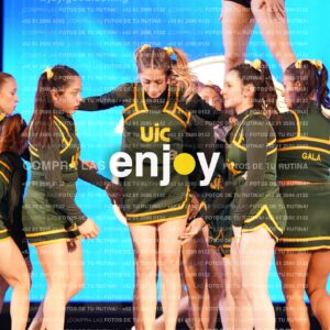 Uic0439