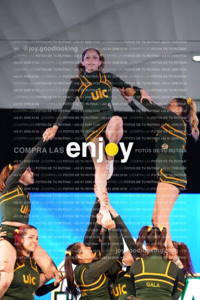 Uic0448