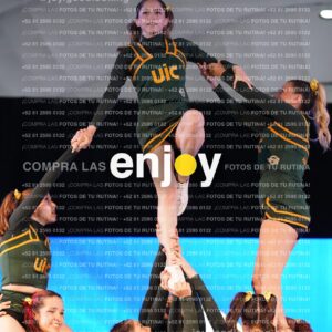 Uic0448