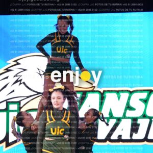 Uic0456