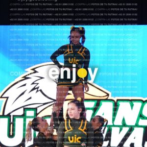 Uic0457