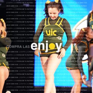 Uic0516