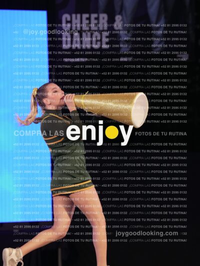 Uic0540