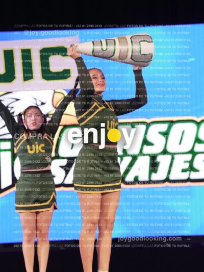 Uic0541