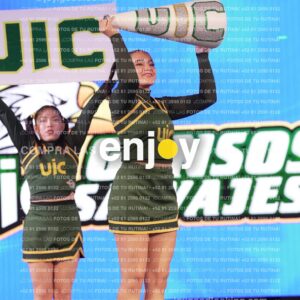 Uic0541