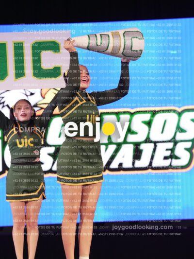 Uic0543