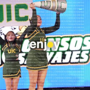 Uic0543