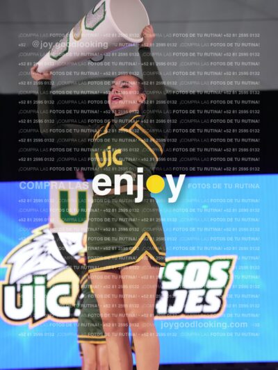 Uic0561