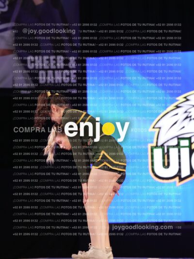 Uic0593