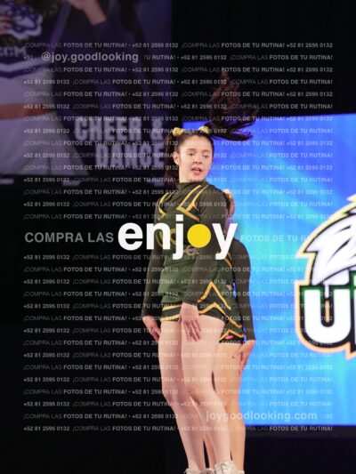 Uic0594