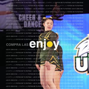 Uic0594