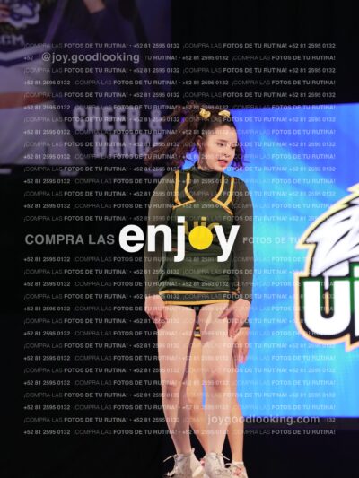 Uic0595