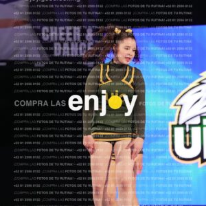 Uic0595