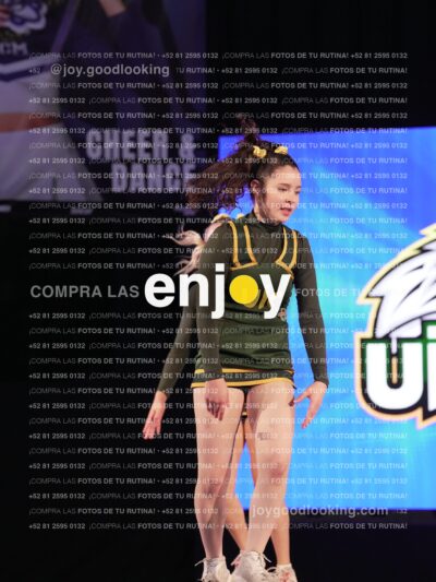 Uic0596