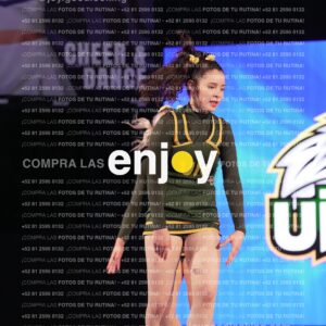 Uic0596