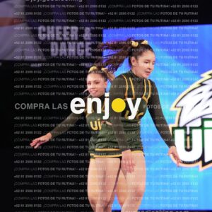 Uic0597
