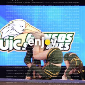 Uic0599