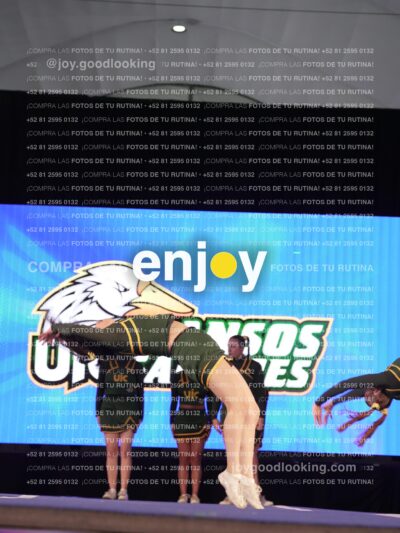 Uic0605