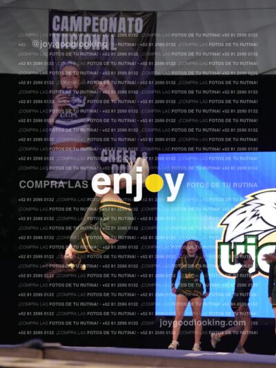 Uic0611