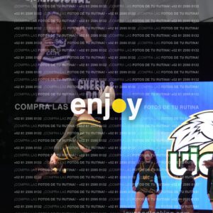 Uic0611
