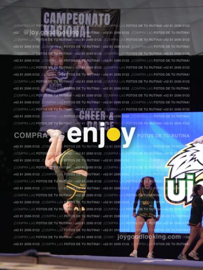 Uic0612