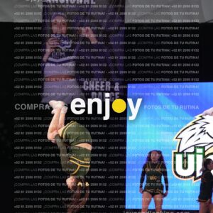 Uic0612