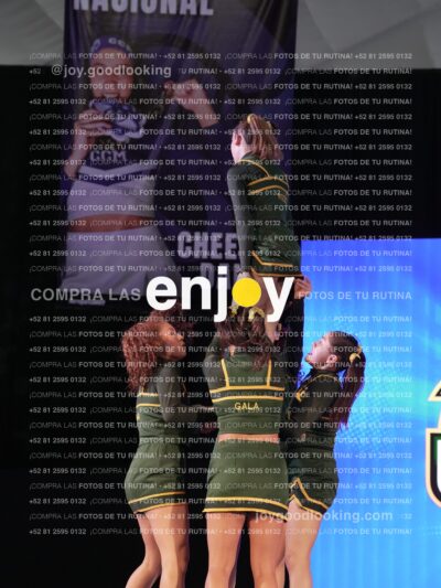 Uic0617