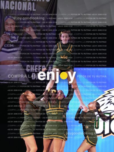 Uic0621