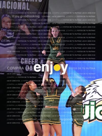 Uic0622