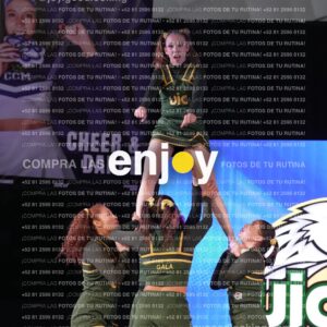 Uic0622