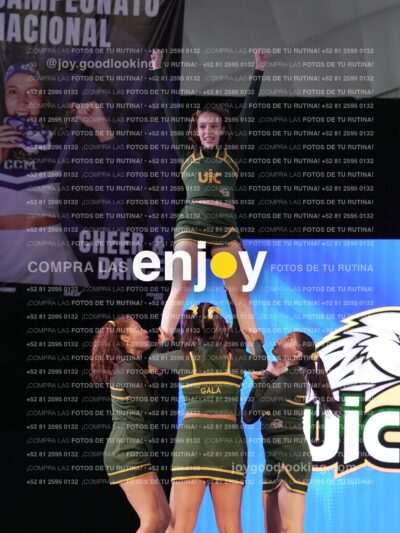 Uic0624