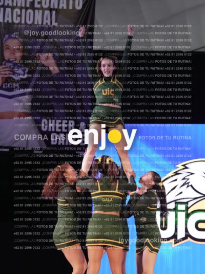 Uic0625