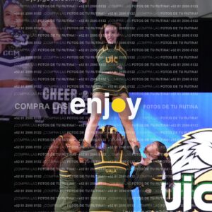 Uic0625