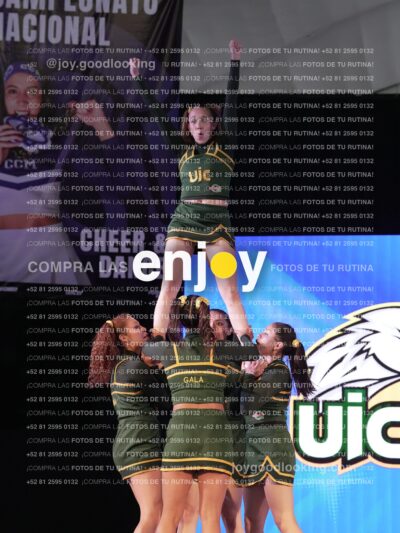 Uic0628