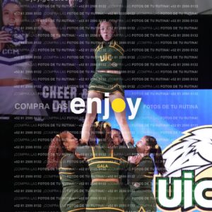 Uic0628